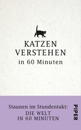 Katzen verstehen in 60 Minuten