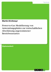 Power-to-Gas: Modellierung von Anwendungspfaden zur wirtschaftlichen Abschätzung angenommener Betriebsszenarien