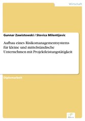 Aufbau eines Risikomanagementsystems für kleine und mittelständische Unternehmen mit Projektleistungstätigkeit