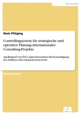 Controllingsystem für strategische und operative Planung internationaler Consulting-Projekte