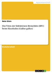 Das Virus der Infektiösen Bronchitis (IBV) beim Haushuhn (Gallus gallus)