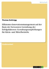 Effizientes Innovationsmanagement auf der Basis der bewussten Gestaltung der Erfolgsfaktoren. Gestaltungsempfehlungen für Klein- und Mittelbetriebe