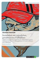 Sozialarbeit mit männlichen, gewaltbereiten Fußballfans