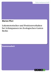 Lokomotorisches und Positionsverhalten bei Schimpansen im Zoologischen Garten Berlin