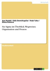 Six Sigma im Überblick. Wegweiser, Organisation und Prozess