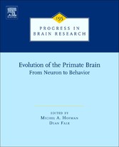 Evolution of the Primate Brain