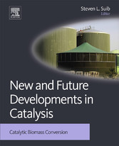 New and Future Developments in Catalysis