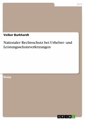 Nationaler Rechtsschutz bei Urheber- und Leistungsschutzverletzungen