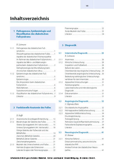 Der diabetische Fuß