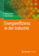 Energieeffizienz in der Industrie