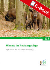 Wisente im Rothaargebirge