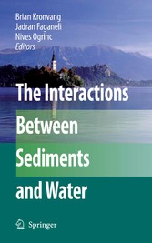 The Interactions Between Sediments and Water