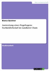 Auswertung eines Fragebogens: Fachkräftebedarf im Landkreis Cham