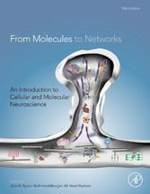 From Molecules to Networks