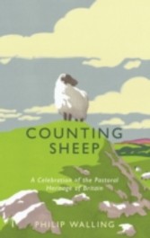 Counting Sheep