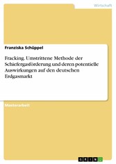 Fracking. Umstrittene Methode der Schiefergasförderung und deren potentielle Auswirkungen auf den deutschen Erdgasmarkt