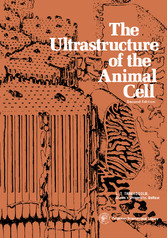 The Ultrastructure of the Animal Cell