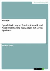 Sprachförderung im Bereich Semantik und Wortschatzbildung bei Kindern mit Down Syndrom