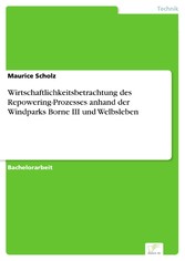 Wirtschaftlichkeitsbetrachtung des Repowering-Prozesses anhand der Windparks Borne III und Welbsleben