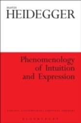 Phenomenology of Intuition and Expression