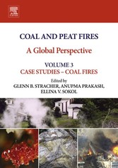 Coal and Peat Fires: A Global Perspective