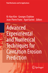 Advanced Experimental and Numerical Techniques for Cavitation Erosion Prediction