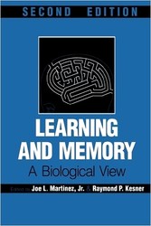 Learning and Memory