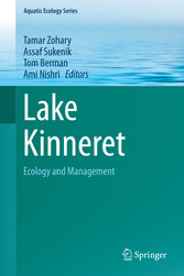 Lake Kinneret