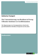 Die Unterminierung von Resilienz in Young Offender Institutes in Großbritannien