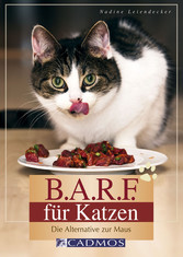 B.A.R.F. für Katzen