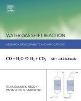 Water Gas Shift Reaction