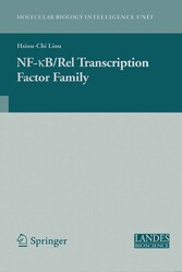 NF-kB/Rel Transcription Factor Family