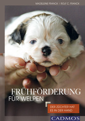 Frühförderung für Welpen