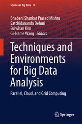 Techniques and Environments for Big Data Analysis