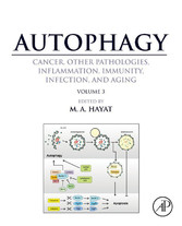 Autophagy: Cancer, Other Pathologies, Inflammation, Immunity, Infection, and Aging