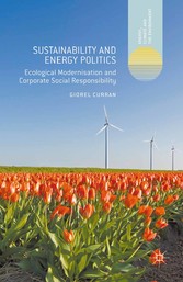 Sustainability and Energy Politics