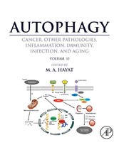 Autophagy: Cancer, Other Pathologies, Inflammation, Immunity, Infection, and Aging