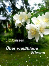 Über weißblaue Wiesen