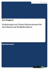 Evaluierung von Cluster-Dateisystemen für den Einsatz auf Parallelrechnern