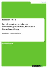 Interdependenzen zwischen Bevölkerungswachstum, Armut und Umweltzerstörung