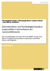 Jahresabschluss- und Nachhaltigkeitsanalyse ausgewählter Unternehmen der Automobilbranche