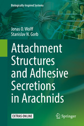 Attachment Structures and Adhesive Secretions in Arachnids