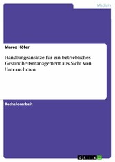 Handlungsansätze für ein betriebliches Gesundheitsmanagement aus Sicht von Unternehmen