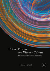 Crime, Prisons and Viscous Culture