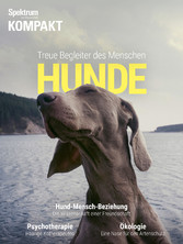 Spektrum Kompakt: Hunde