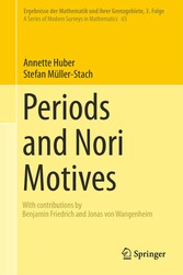 Periods and Nori Motives