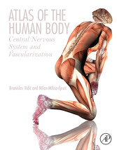 Atlas of the Human Body