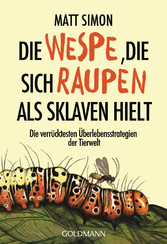 Die Wespe, die sich Raupen als Sklaven hielt