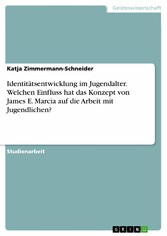 Identitätsentwicklung im Jugendalter. Welchen Einfluss hat das Konzept von James E. Marcia  auf die Arbeit mit Jugendlichen?