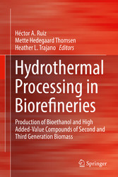 Hydrothermal Processing in Biorefineries